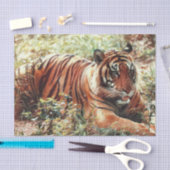 Weefselpapier Tissuepapier (Craft)