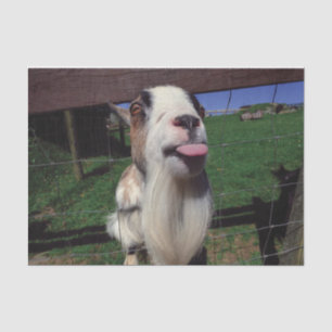 Weefselpapier Tissuepapier