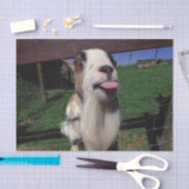 Weefselpapier Tissuepapier (Craft)