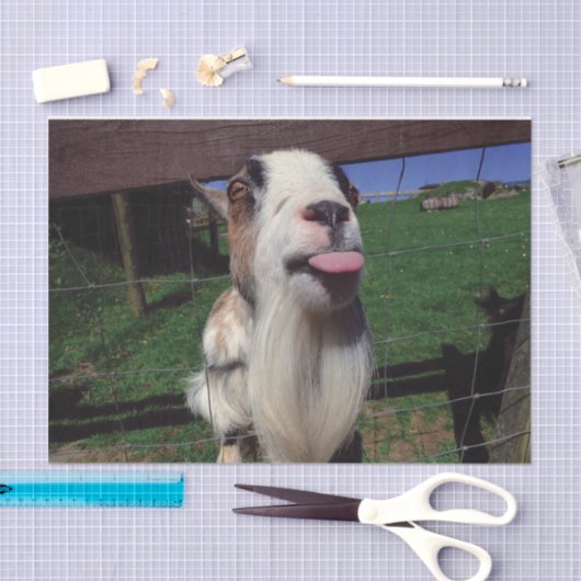 Weefselpapier Tissuepapier (Craft)