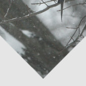 Weefselpapier Tissuepapier (Detail)