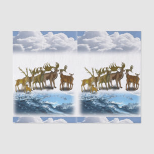 Weefselpapier Vaderdag Tissuepapier