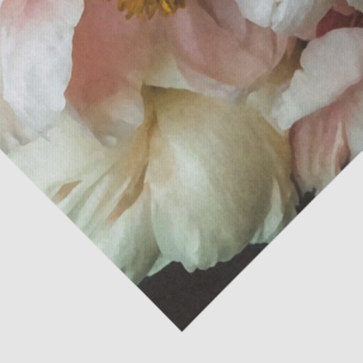 Weefselpapier van bruinkroze pinda's tissuepapier (Detail)