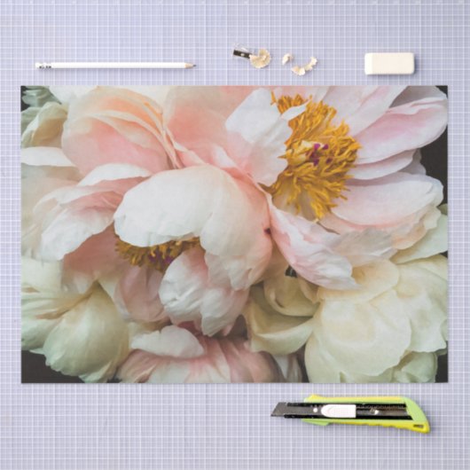 Weefselpapier van bruinkroze pinda's tissuepapier (Craft)