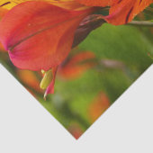 Weefselpapier van Oranje alstromerie (Peruaanse Li Tissuepapier (Detail)