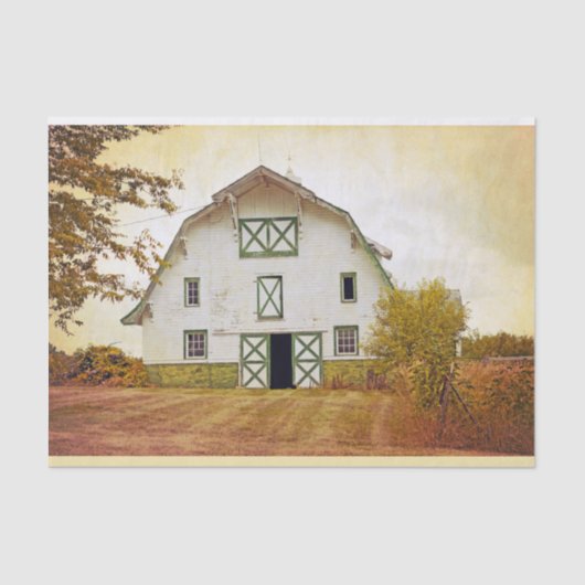 Weefselpapier Verpakking Zonnebarnjestrië F Tissuepapier (Voorkant)