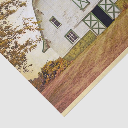 Weefselpapier Verpakking Zonnebarnjestrië F Tissuepapier (Detail)