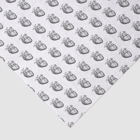 Weefselpapier voor anatomische harten tissuepapier (Detail)