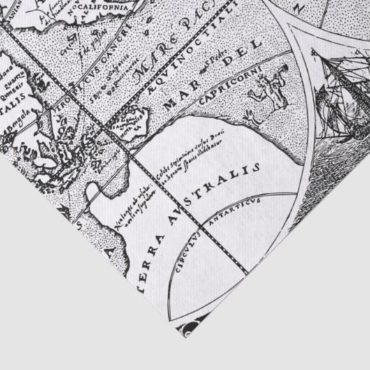 Weefselpapier voor antieke kaart tissuepapier (Detail)