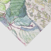 Weefselpapier voor audubon Finch vogelvlees Tissuepapier (Detail)