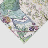 Weefselpapier voor audubon Warbler Tissuepapier (Detail)