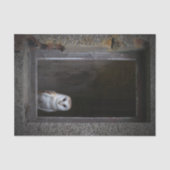 Weefselpapier voor Barn Owl Tissuepapier (Voorkant)