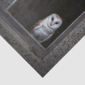 Weefselpapier voor Barn Owl Tissuepapier (Detail)