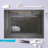 Weefselpapier voor Barn Owl Tissuepapier (Craft)