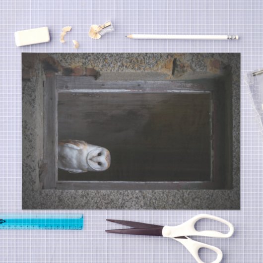 Weefselpapier voor Barn Owl Tissuepapier (Craft)