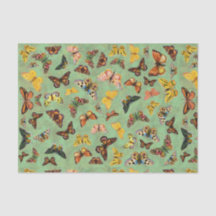 Weefselpapier voor botervliegen