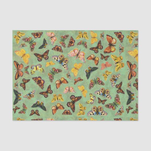 Weefselpapier voor botervliegen tissuepapier (Voorkant)