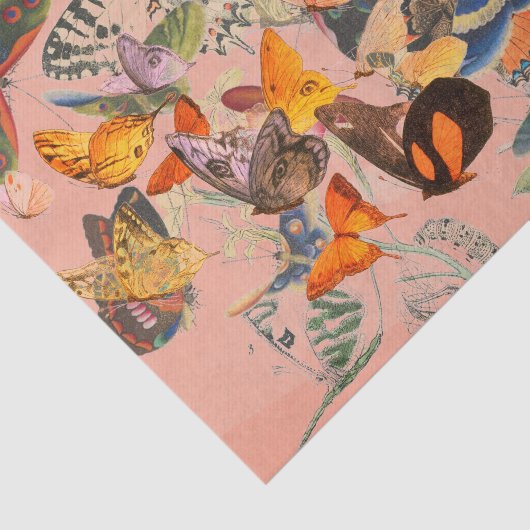 Weefselpapier voor BUTTERFLES Tissuepapier (Detail)