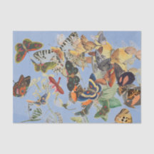 Weefselpapier voor BUTTERFLES