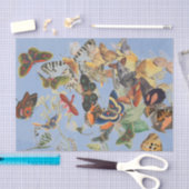 Weefselpapier voor BUTTERFLES Tissuepapier (Craft)