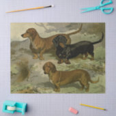 Weefselpapier voor  dachshunds tissuepapier (Craft)