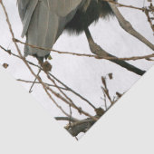 Weefselpapier voor de grote blauwe zeehondenboom tissuepapier (Detail)