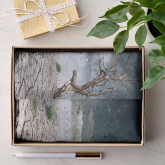 Weefselpapier voor dolfijnwoestijn tissuepapier (Geschenk)