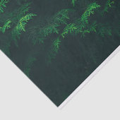 Weefselpapier voor Evergreen-bomen Tissuepapier (Detail)