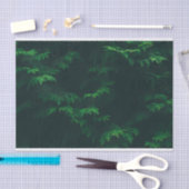 Weefselpapier voor Evergreen-bomen Tissuepapier (Craft)