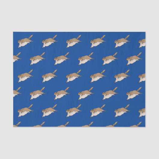 Weefselpapier voor flinteracties tissuepapier (Voorkant)