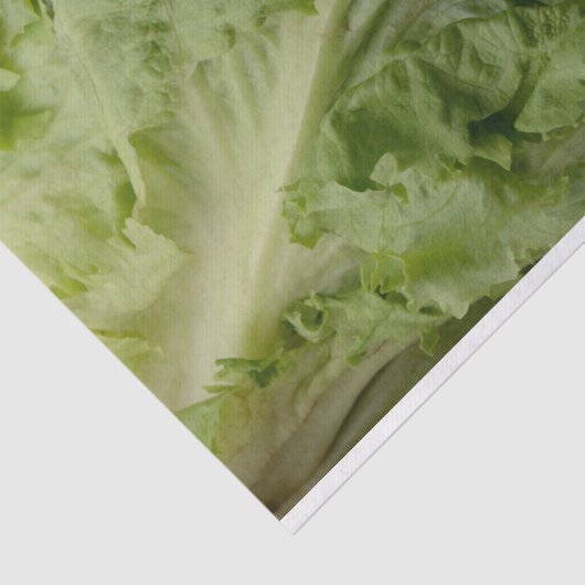 Weefselpapier voor groene bladsla tissuepapier (Detail)