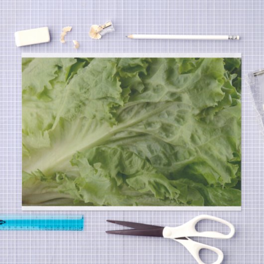 Weefselpapier voor groene bladsla tissuepapier (Craft)