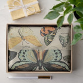 Weefselpapier voor het losmaken van vlinders tissuepapier (Geschenk)