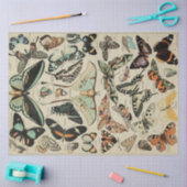 Weefselpapier voor het losmaken van vlinders tissuepapier (Craft)