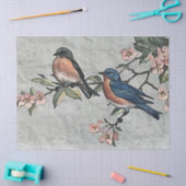 Weefselpapier voor het ontkoppelen van blauwvogels tissuepapier (Craft)
