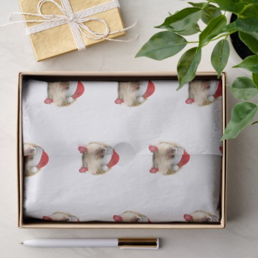 Weefselpapier voor holiday-egel tissuepapier (Geschenk)