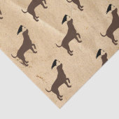 Weefselpapier voor honden en krukken tissuepapier (Detail)