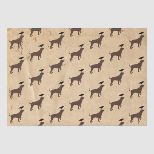 Weefselpapier voor honden en krukken tissuepapier (Voorkant)