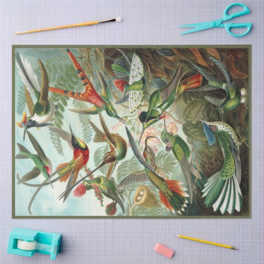 Weefselpapier voor Hummingbird Ernst Haeckel Tissuepapier (Craft)