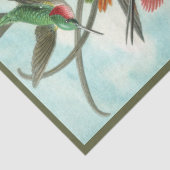 Weefselpapier voor Hummingbird Ernst Haeckel Tissuepapier (Detail)