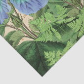 Weefselpapier voor kalkoenen -  ontbindmiddel tissuepapier (Detail)