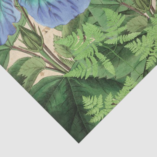 Weefselpapier voor kalkoenen -  ontbindmiddel tissuepapier (Detail)