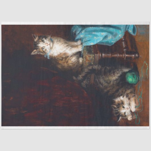 Weefselpapier voor katten tissuepapier (Voorkant)