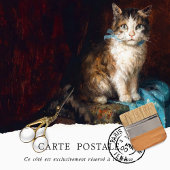 Weefselpapier voor  katten tissuepapier