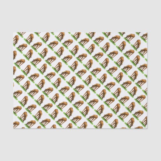 Weefselpapier voor kleine korstpaarden tissuepapier (Voorkant)