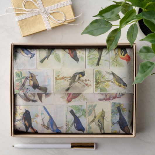 Weefselpapier voor kleurrijke vogels tissuepapier (Geschenk)