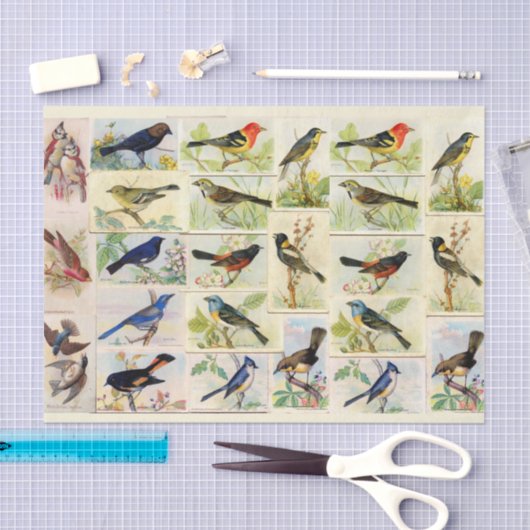 Weefselpapier voor kleurrijke vogels tissuepapier (Craft)