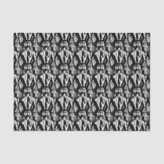 Weefselpapier voor kunstschilders van het mannelij tissuepapier (Voorkant)