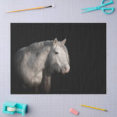 Weefselpapier voor loskoppelen van wilde paarden tissuepapier (Craft)