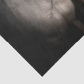 Weefselpapier voor loskoppelen van wilde paarden tissuepapier (Detail)